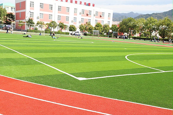 杭州玉山中学校园运动草坪