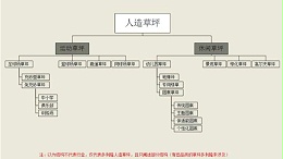 知识科普、近些年人造草坪的分类说明