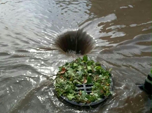 台风天树枝阻塞下水道