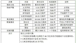 建一个足球场需要多少钱？具体需要什么步骤？